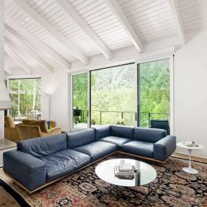 3-118ELupine_HiRes_21061821