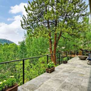 11-118ELupine_HiRes_21061830