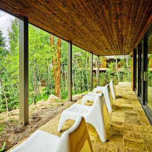 12-118ELupine_HiRes_21061817