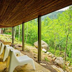 13-118ELupine_HiRes_21061816